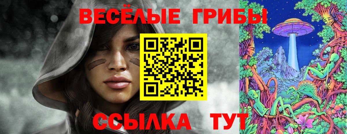 Псилоцибиновые грибы Psilocybine cubensis  Вход с VPN  Ливны  Псилоцибиновые грибы ЛСД 