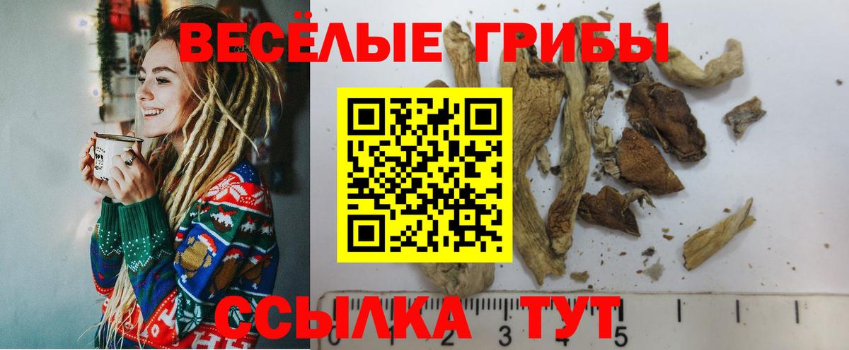 Псилоцибиновые грибы Cubensis Ливны
